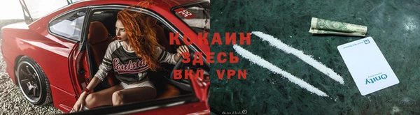 индика Инта