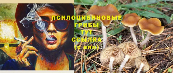 MESCALINE Зеленокумск