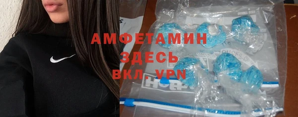 сатива Заводоуковск