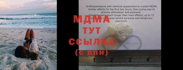 индика Инта