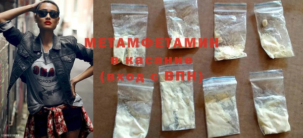 индика Инта