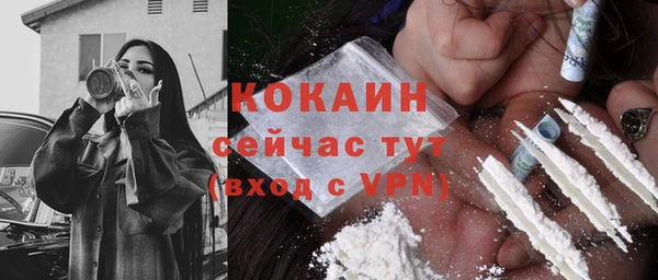 индика Инта