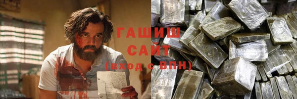 индика Инта